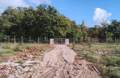 A large building plot for sale, with a house and a project for the construction of an additional villa, Svetvinčenat