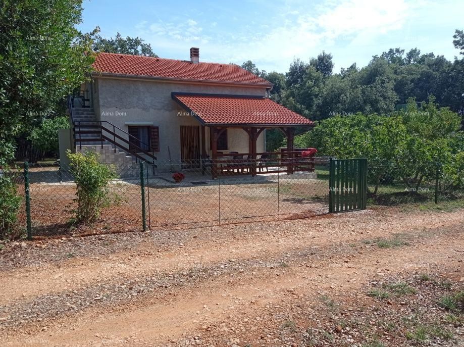 Дом Marčana 1