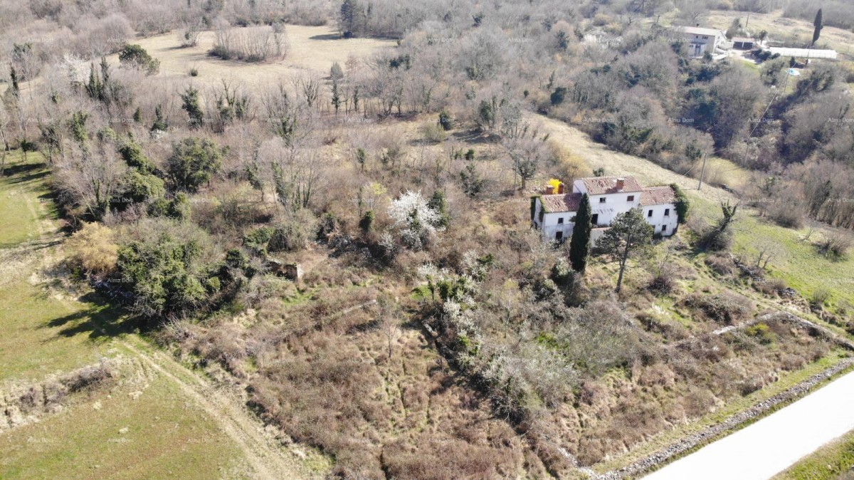 VILLA ISTRA CON PISCINA E 4.000 m² DI TERRENO – OPRTALJ 10