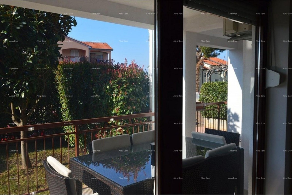 Prostrano stan s dvorištem, Tar 11