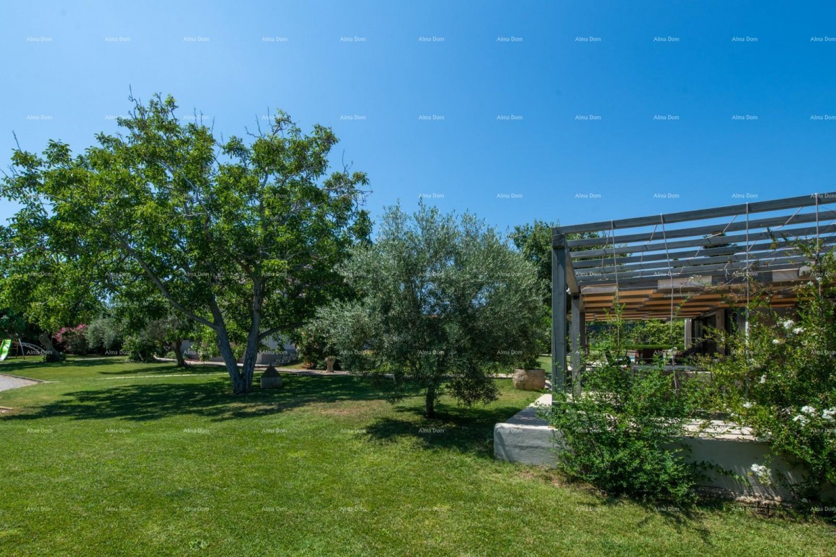 Sale - luxury villa with a pool and additional building, on a spacious property, Ližnjan! 7