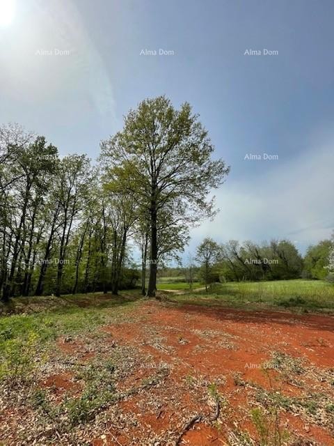 Продается строительный участок с проектом – Барбан (1.010 м²) 6