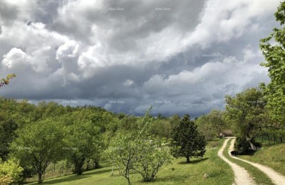 La bellissima proprietà in vendita è circondata da foreste e vigneti, con vista su Gračišće e Učka!