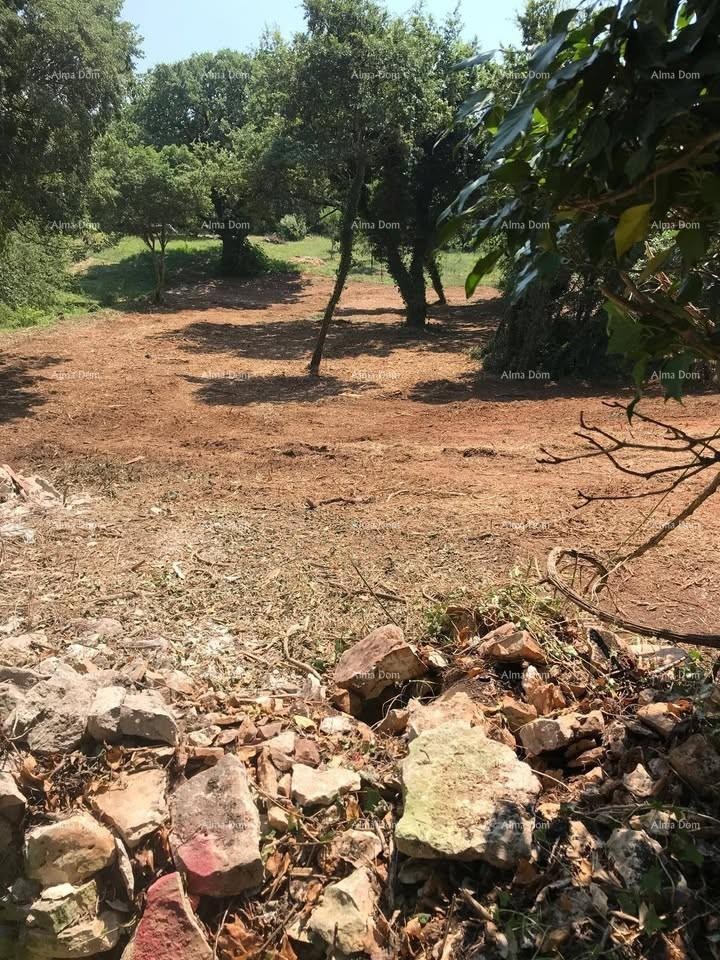 Terreno edificabile 1.137 m² – Filipana 1