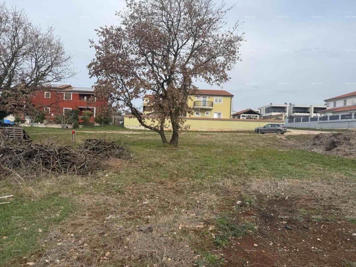 Plot Novigrad 1
