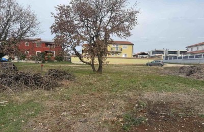 Plot Novigrad