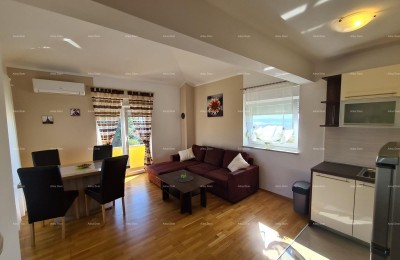 Medulin! Hiša s 6 ločenimi stanovanjskimi enotami!