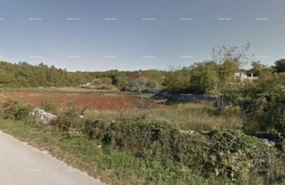 The translation of the title