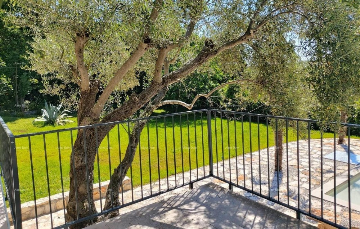 UMAG – Hiša s bazenom in tremi ločenimi apartmaji 15