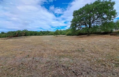 Vendita terreno edificabile, Canfanaro