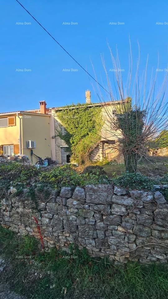 For sale: Ruined house – Svetvinčenat, Juršići 1