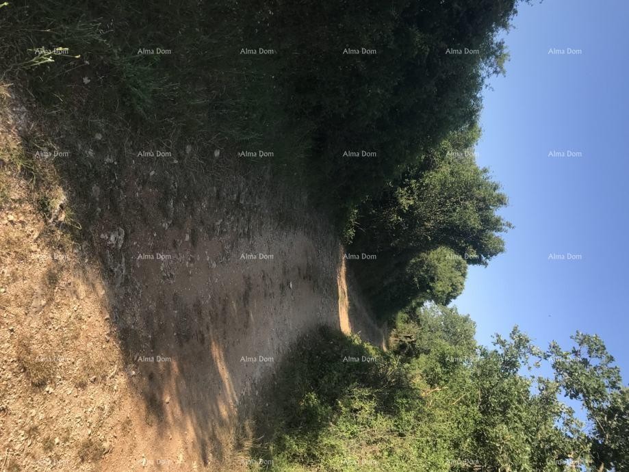 Эемля Marčana 2