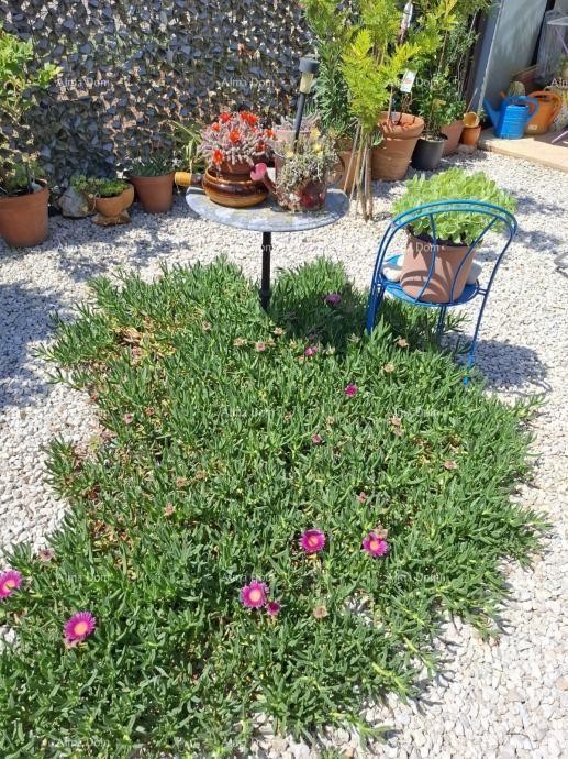 TAR –STAN 75 m² S VRTOM 12