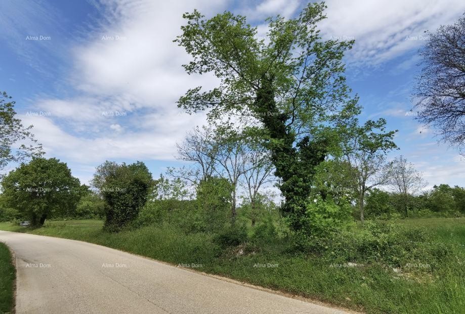 Excellent building land for investment. 7