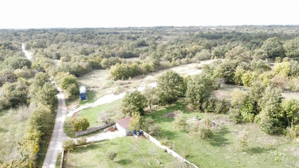 Plot Svetvinčenat 4