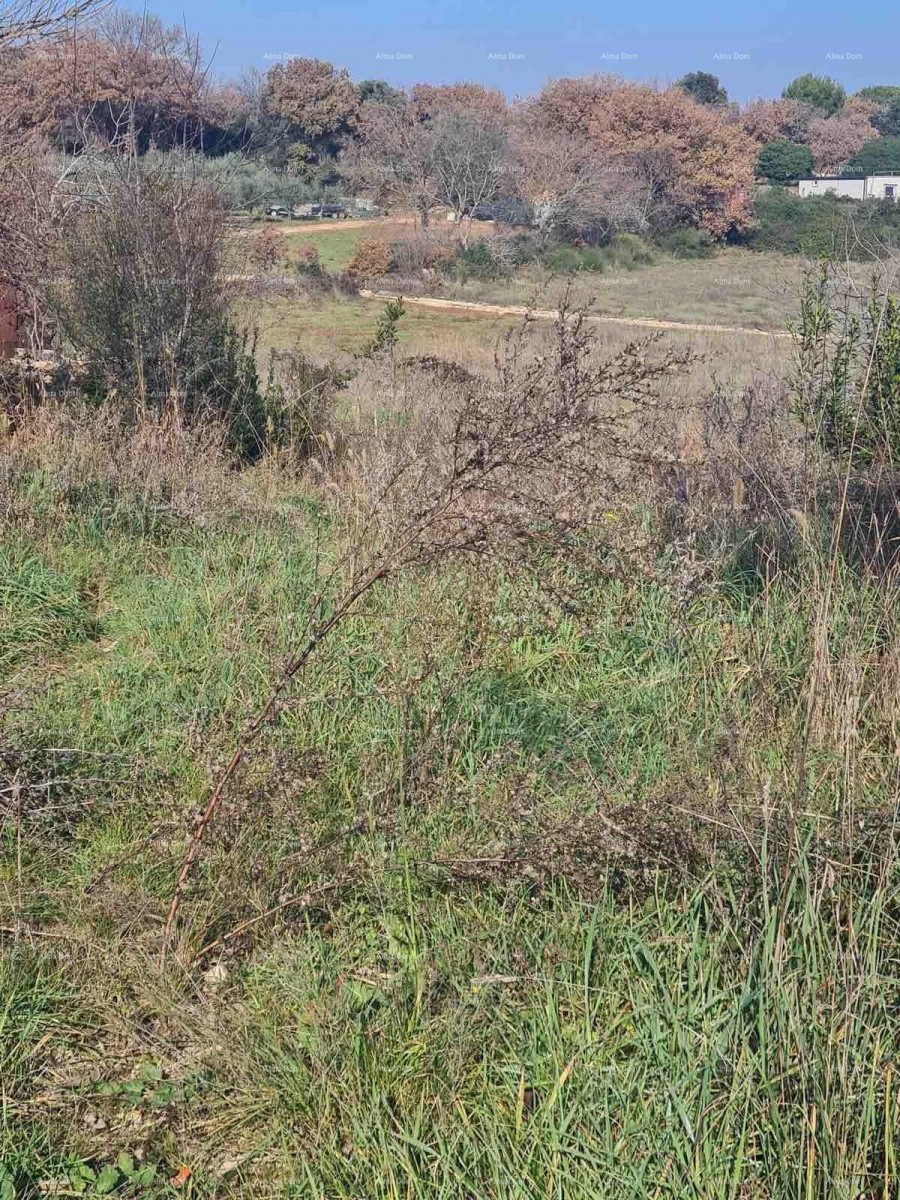 Terreno edificabile Vintijan – 800 m2 – lungo la strada 7