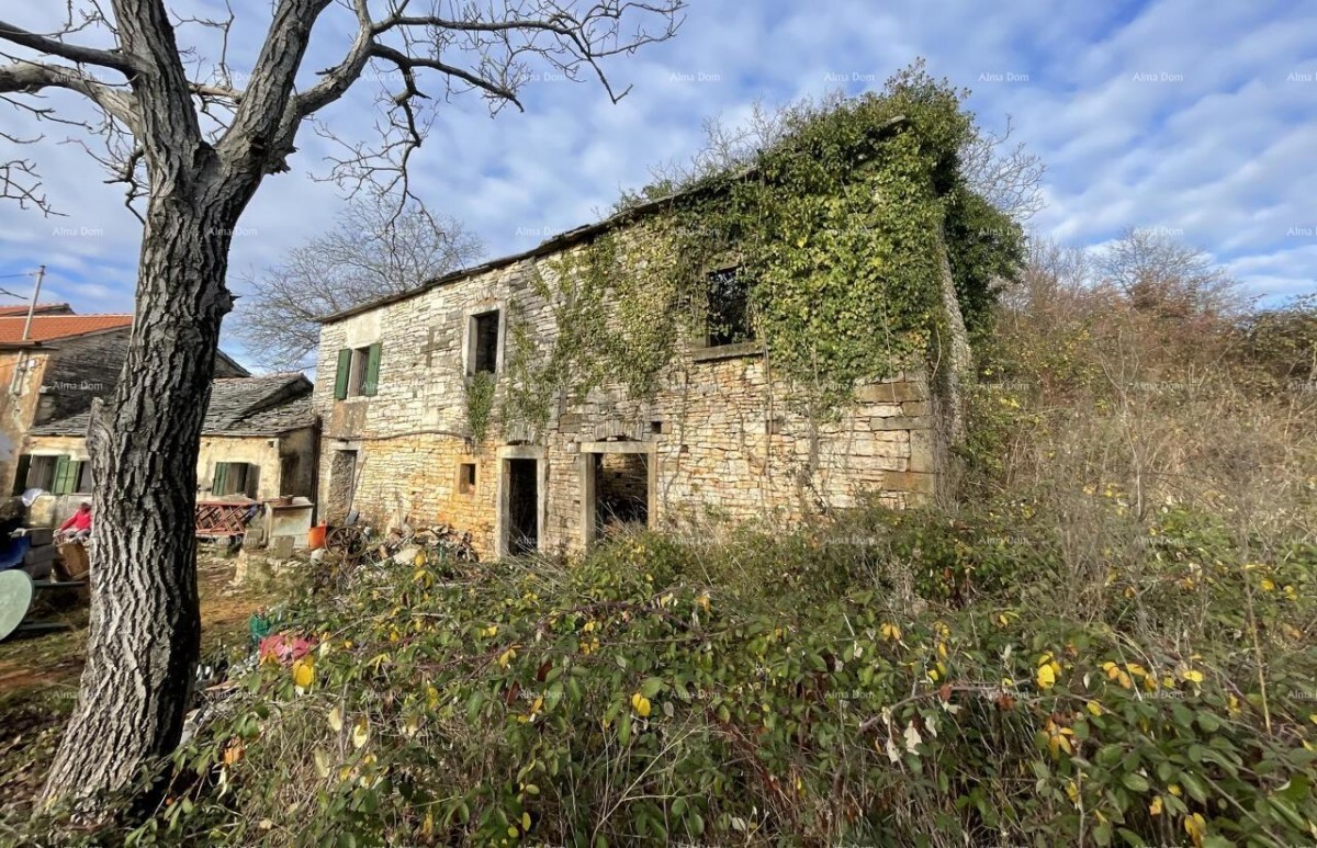 Продажа - каменный дом для ремонта с большим участком земли, Опрталь! 1