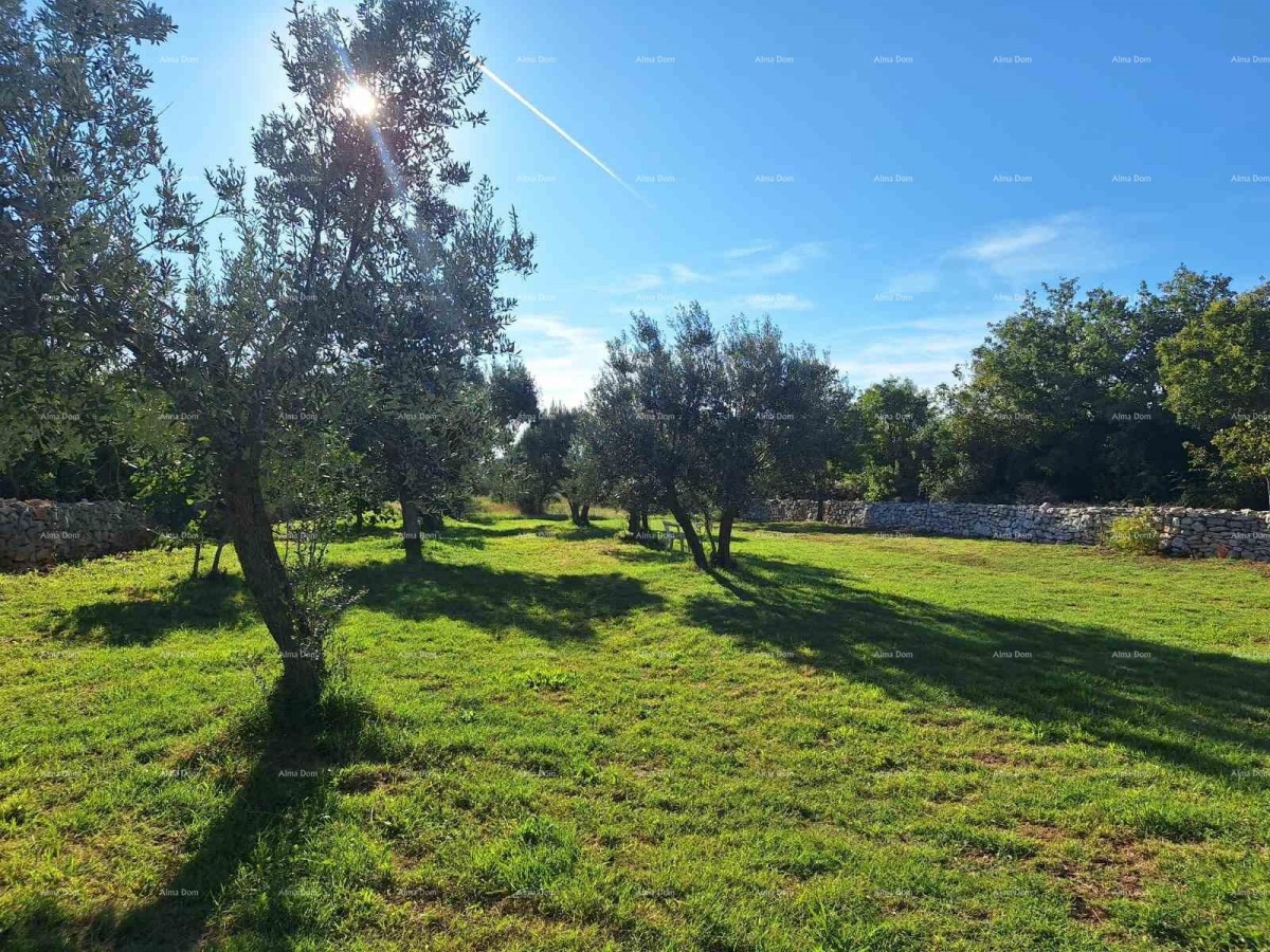 СЕЛЬСКОХОЗЯЙСТВЕННАЯ земля рядом с морем, Перов - продажа! 2