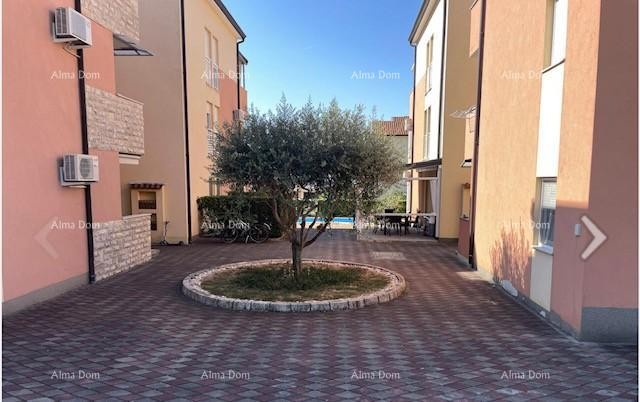 NUOVO IN OFFERTA appartamento a NOVIGRAD 1