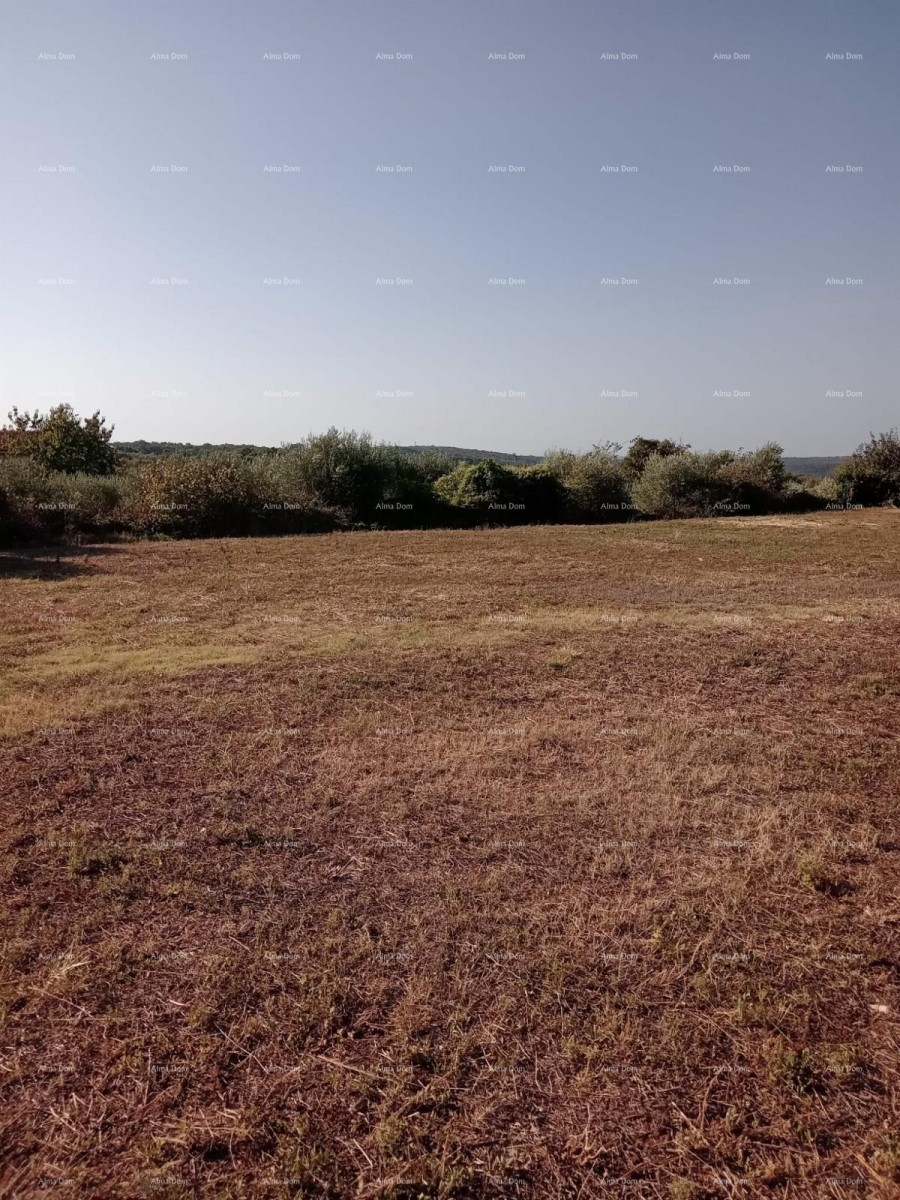 Zemljišče Marčana 1