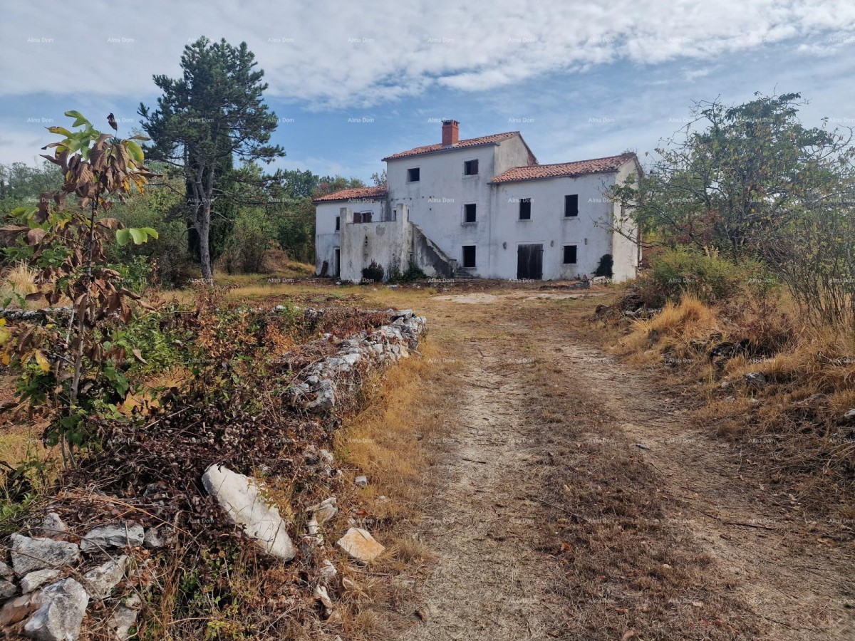 VILLA ISTRA CON PISCINA E 4.000 m² DI TERRENO – OPRTALJ 14