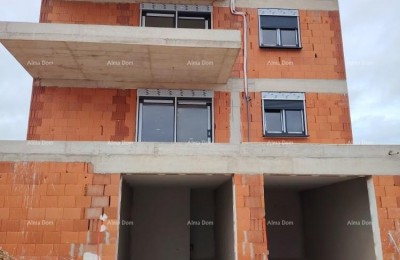 The translation of the title