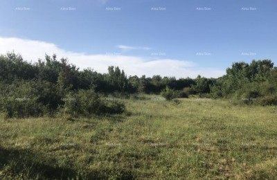 MARČANA, Rakalj - 2 lotti edificabili urbanizzati in vendita