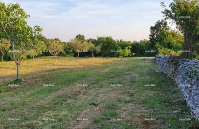 MARČANA FILIPANA - građevinski teren