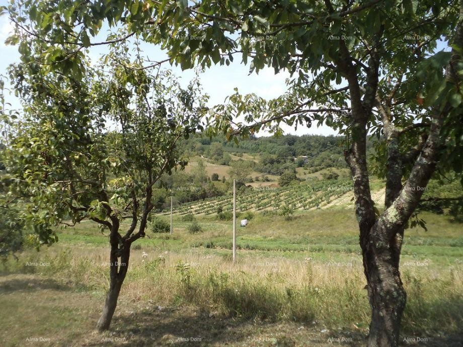 Zemljišče Poreč 1