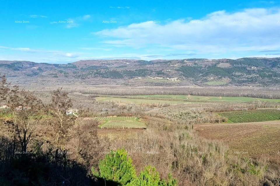 Kuća s predivnim pogledom na Motovun 4