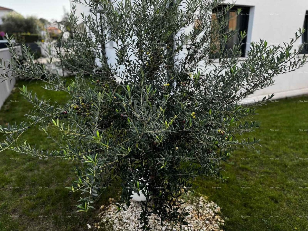 Appartamento modernamente arredato con piscina privata, giardino e posto auto, Pula! 15