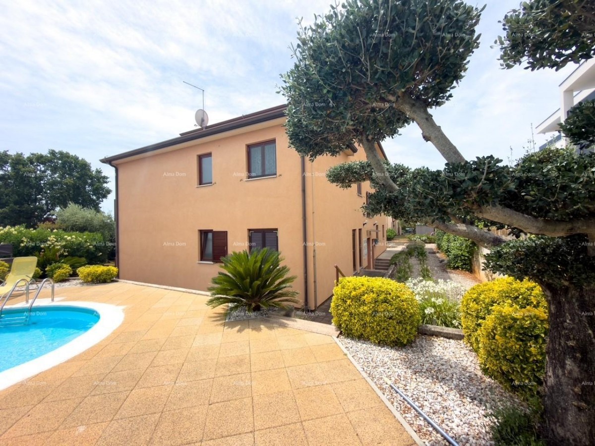 Novigrad, apartment in an attractive location with a pool. 29
