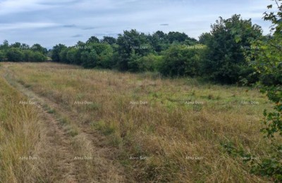 Građevinsko zemljište površine 1.600 m² v bližini Svetvinčenta