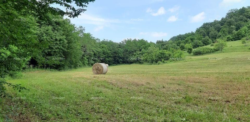For Sale - Large Estate/Farm in Central Istria, Pazin! Investment Opportunity! 3