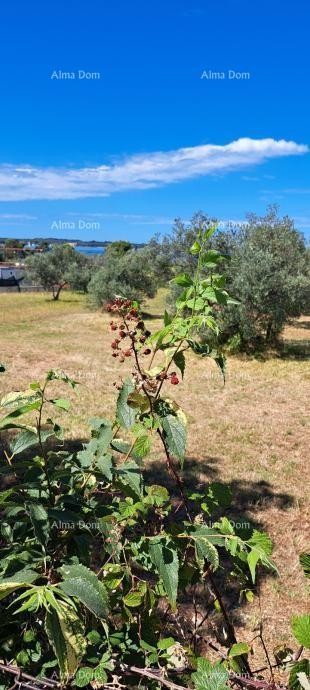 Фажана – сельскохозяйственные земли рядом с морем 1