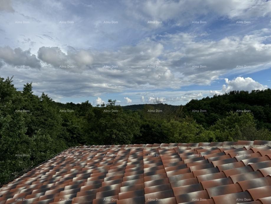 Na prodajo je čudovita nepremičnina, obdana z gozdovi in vinogradi, s pogledom na Gračišće in Učko! 15