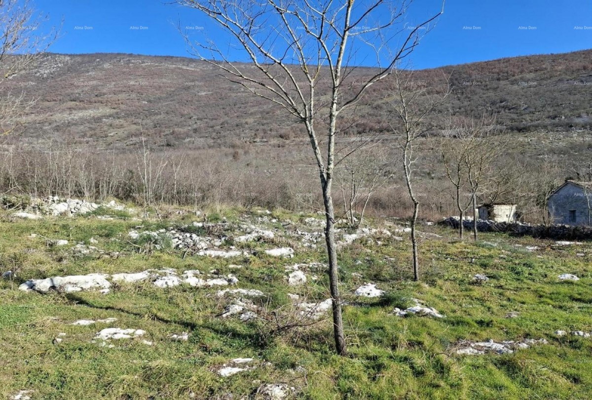 JESENOVIK, Building land at the foot of Učka Nature Park – several plots with a view of nature 3