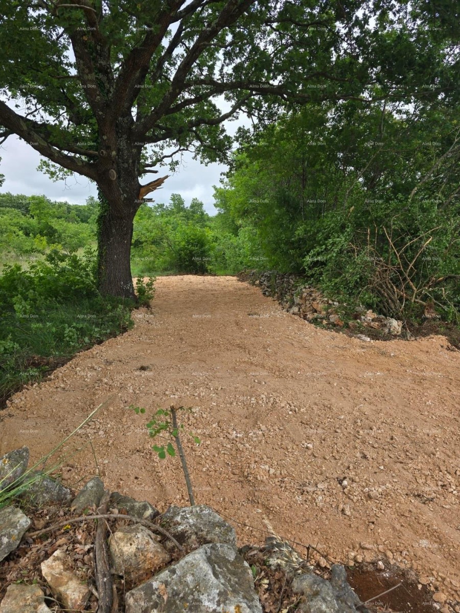 PRODAJA – Građevinsko zemljište s građevinskom dozvolom i projektom kuće s bazenom, Marčana! 6