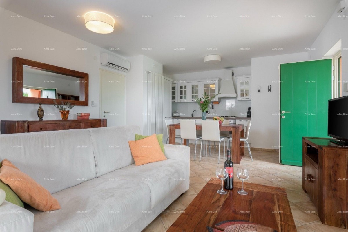 ВИЛЛА С ДВУМЯ АПАРТАМЕНТАМИ И БАССЕЙНОМ, ОКОЛИЦА ЛАБИНА 8