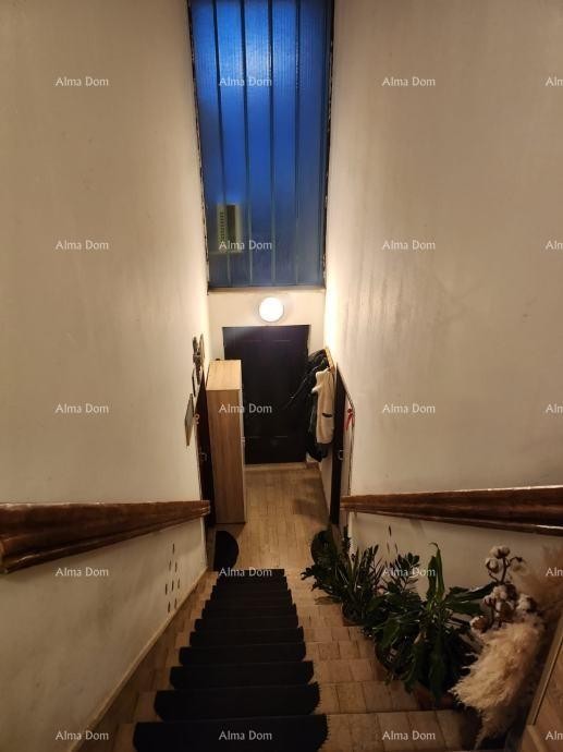 PRODAJA DVA STANA V PRIZIDJU HIŠE Z VRTOM 7