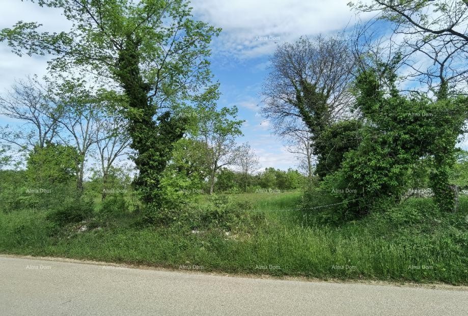 Excellent building land for investment. 11