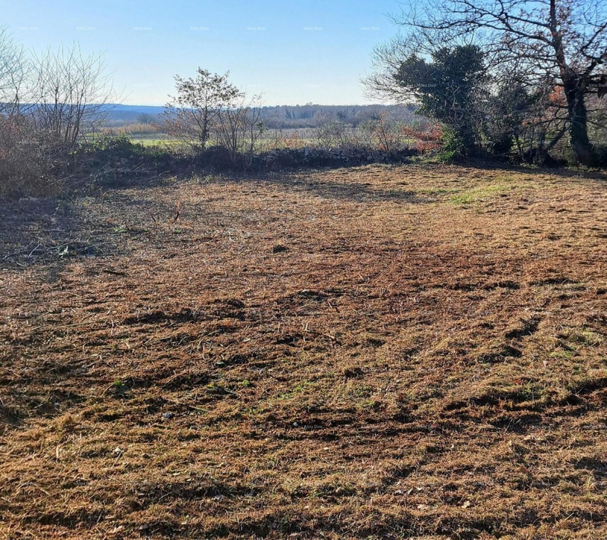 Gađevinsko zemljište 3.500 m² U  malom selu  blizina Višnjana prema selu Bačva. 4