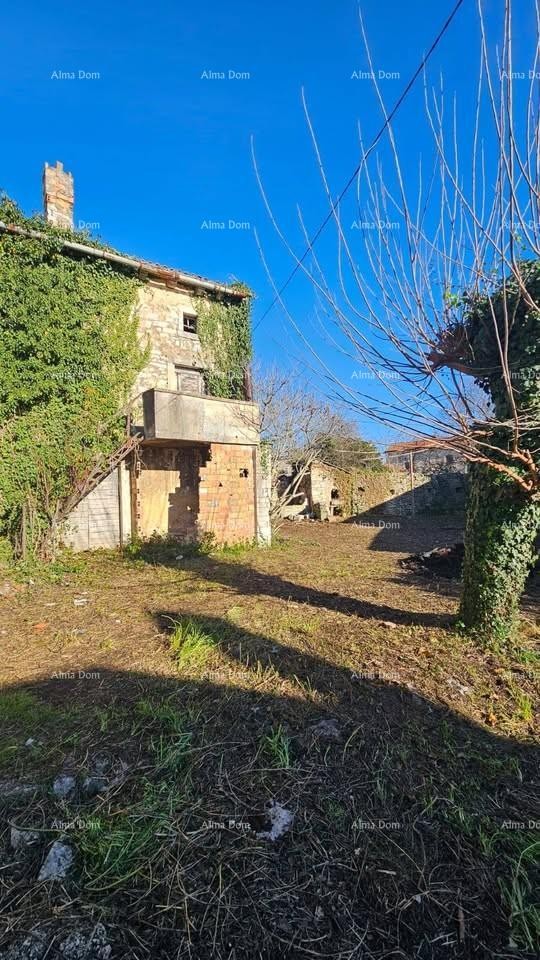 For sale: Ruined house – Svetvinčenat, Juršići 3