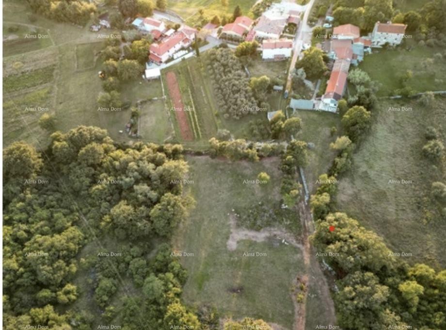 Vecchia casa di pietra in Istria, Buie 17