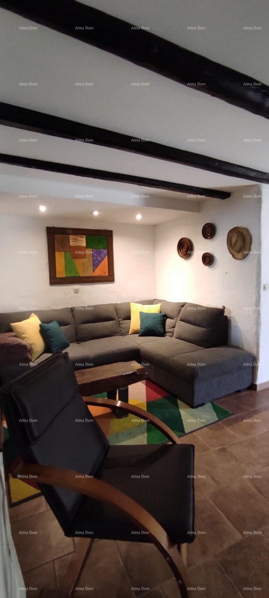 House Svetvinčenat 8