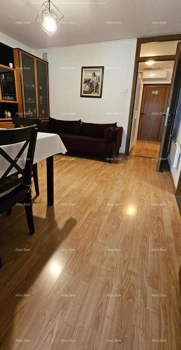 Novigrad, appartamento di 52 m² 3