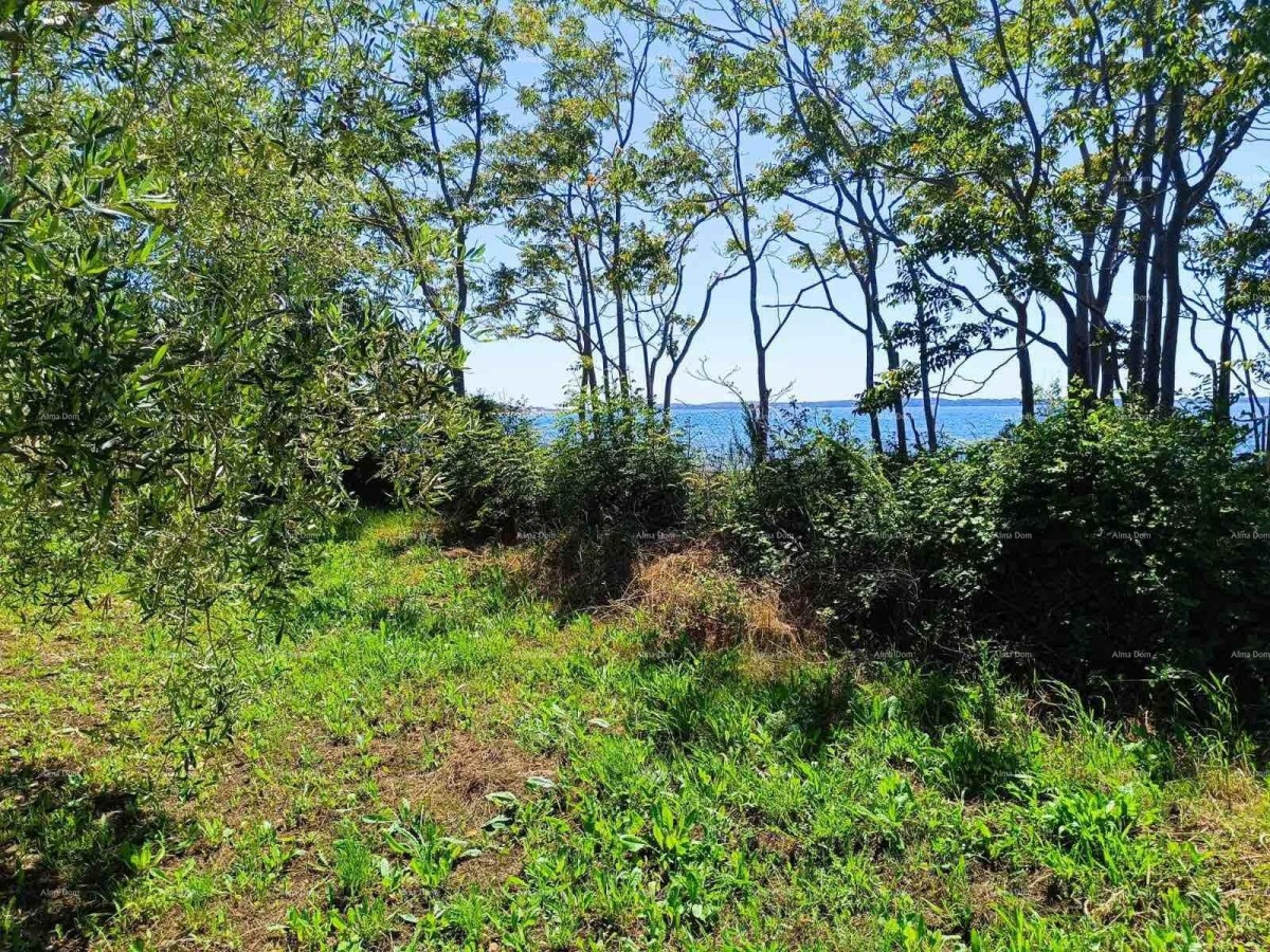 PEROJ – POLJOPRIVREDNO ZEMLJIŠTE 2.715 m² U BLIZINI MORA 2