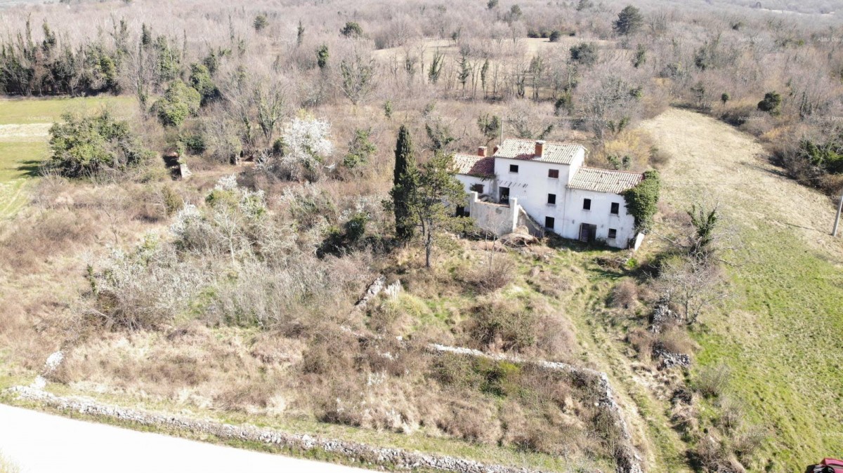 VILLA ISTRA CON PISCINA E 4.000 m² DI TERRENO – OPRTALJ 9