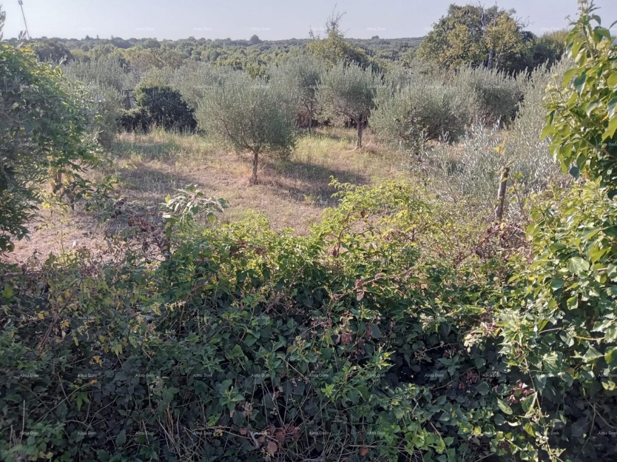 Zemljišče Marčana 5