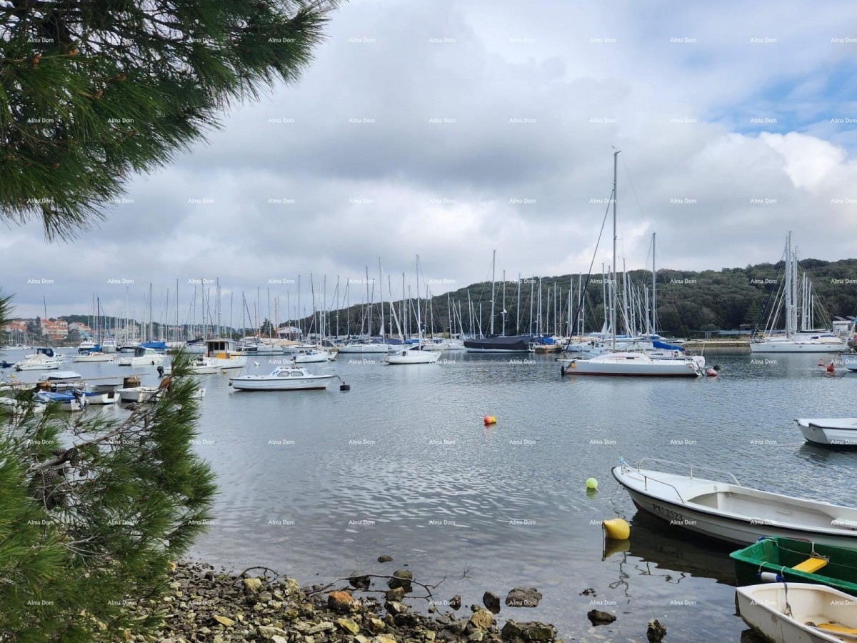 Роскошные апартаменты с видом на Марина Веруда 7